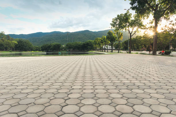 Best Decorative Driveway Pavers  in Ripon, CA